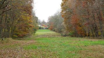The wide playground view surrounded by the colorful forest woods in autumn photo