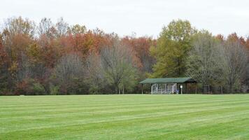 The wide playground view surrounded by the colorful forest woods in autumn photo