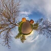 tiny planet transformation of spherical panorama 360 degrees. Spherical abstract aerial view with trees in forest with clumsy branches in blue sky. Curvature of space. photo