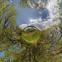 tiny planet transformation of spherical panorama 360 degrees. Spherical abstract aerial view with trees in forest with clumsy branches in blue sky. Curvature of space. photo