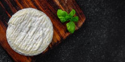 soft cheese cow milk, goat or sheep cheese natural fresh appetizer meal food snack on the table copy space food background rustic top view photo