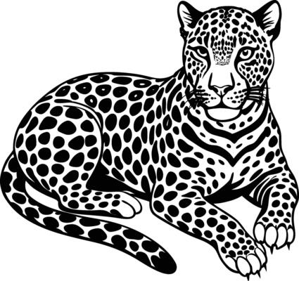 Leopard Outline Vector Art, Icons, and Graphics for Free Download