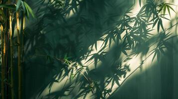 Light shines on the bamboo, casting shadows on the dark green Chinese-style wall. photo