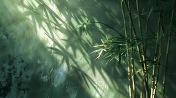 Light shines on the bamboo, casting shadows on the dark green Chinese-style wall. photo
