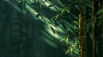 Light shines on the bamboo, casting shadows on the dark green Chinese-style wall. photo