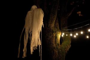 Spooky Halloween decoration stands in a wooded area creating a sinister atmosphere photo