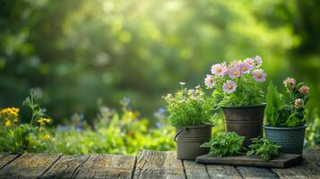 Gardening tools pot with flower outdoors on an old wooden table on a background of a green lawn. photo