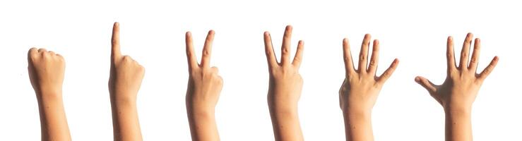 Childs hand counting fingers. zero, one, two, three, four, five, numbers isolated. Gestures for photo