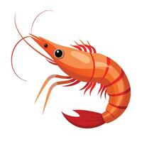 illustration of a shrimp isolated on white vector