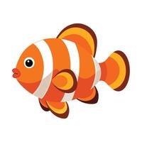 an orange clown fish on a white background vector