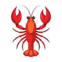 a red lobster on a white background vector