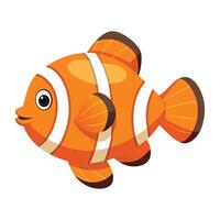 an orange clown fish on a white background vector
