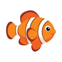 an orange clown fish on a white background vector