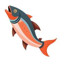 fish illustration isolated on white background vector