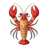 a red lobster on a white background vector