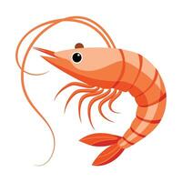 illustration of a shrimp isolated on white vector