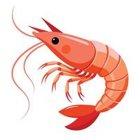 illustration of a shrimp isolated on white vector