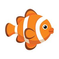 an orange clown fish on a white background vector