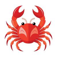 a red crab on a white background vector