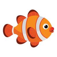 an orange clown fish on a white background vector