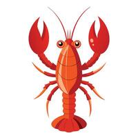 a red lobster on a white background vector