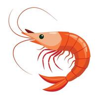 illustration of a shrimp isolated on white vector