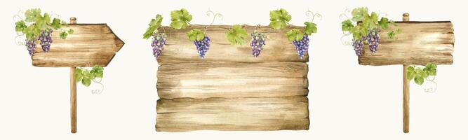 Set of Wooden signboards for grape plantations, vineyards. Wood board with bunches of grapes and leaves. Signboard with grapevine. Isolated watercolor illustrations vector