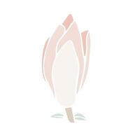 magnolia flower silhouette, illustration in soft pastel color. isolated floral element. flower bud of different shapes for wedding design, prints, templates, greeting cards, invitations. vector