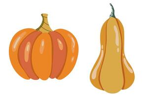 Harvest festival illustration. illustration of fantasy pumpkin. Thanksgiving and Harvest Day set of objects in flat style. Set of stylized objects vector