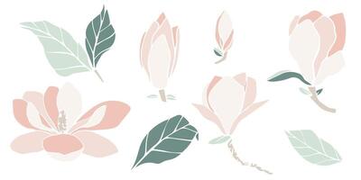 magnolia flower silhouette, set of illustration in soft pastel color. isolated floral element. flower bud of different shapes for wedding design, prints, templates, greeting cards, invitations. vector
