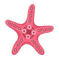 Seashell in the shape of a star on a white background. Seashells icon illustration vector