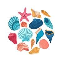 Set of different sea shells on a white background. Summer collection, illustration vector