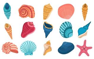 Large collection of different seashells on a white background vector