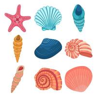 Modern sea summer icon collection of different seashells on white background vector