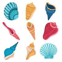 Set of different bright and colorful seashells on a white background vector