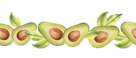 Avocado horizontal Watercolor Seamless Border Pattern. Hand drawn botanical illustration. Can be used for fabric, kitchen textile, packaging print. For frames, adhesive tape and paper design. vector