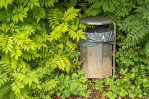 litter bin in the bushes of a park photo