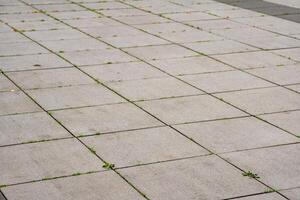 square paved with stone slabs photo