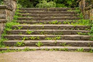 stone steps with weeds in the park photo