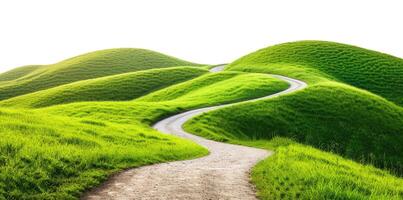 Trail in Mountains photo