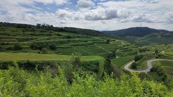 Kaiserstuhl vineyard view germany, texas pass Kaiserstuhl in Germany, Vine region Kaiserstuhl video