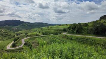 Kaiserstuhl vineyard view germany, texas pass Kaiserstuhl in Germany, Vine region Kaiserstuhl video