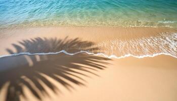 empty abstract sand beach with palm leaf shadow and transparent water wave from above, blank background banner for travel, vacation and wellbeing with copy space. top of views, aerial views photo