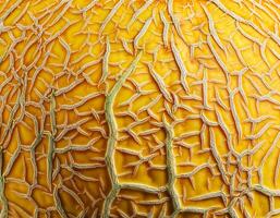 A close-up photo of a ripe melon. Pattern texture background