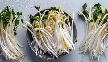 Creative food concept. Fresh a pile of Bean Sprouts against a white background photo