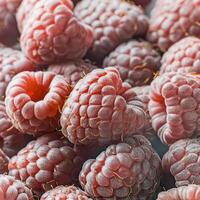 Close-up of ripe raspberries pattern texture background. photo