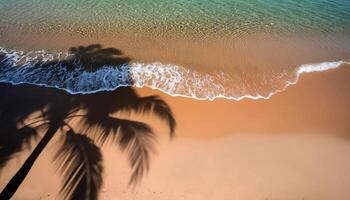 empty abstract sand beach with palm leaf shadow and transparent water wave from above, blank background banner for travel, vacation and wellbeing with copy space. top of views, aerial views photo