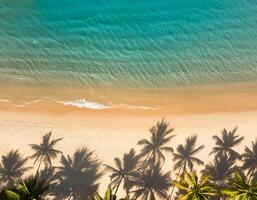 empty abstract sand beach with palm leaf shadow and transparent water wave from above, blank background banner for travel, vacation and wellbeing with copy space. top of views, aerial views. photo