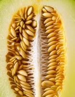 A close-up photo of a ripe melon. Pattern texture background