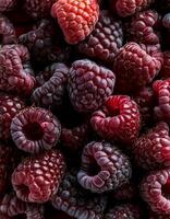 Close-up of ripe raspberries pattern texture background. photo